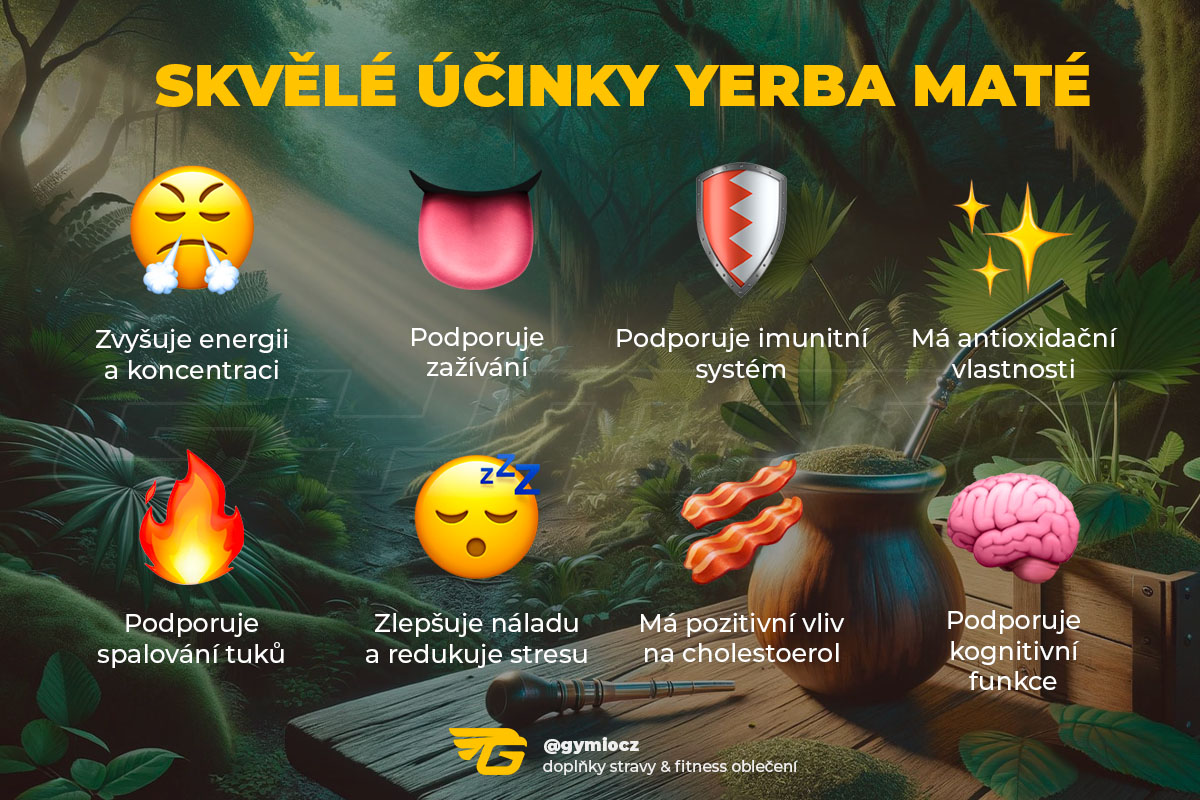 8 skvělých účinků Yerba Maté inforgafika GYMIO